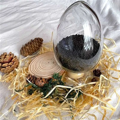 Coarse Particle Carbon Molecular Sieve