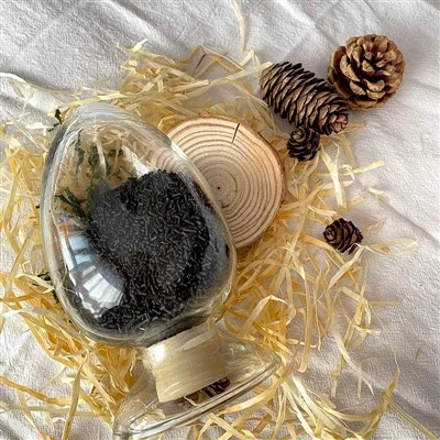 High Pressure Carbon Molecular Sieve